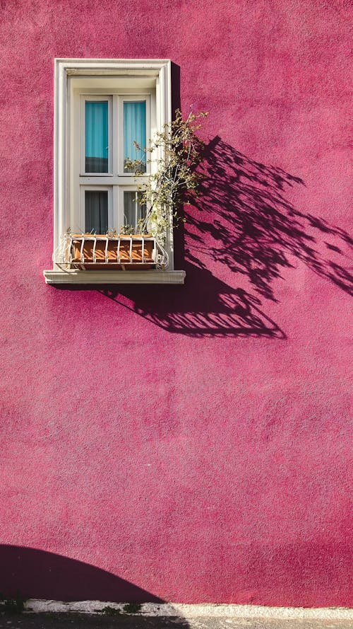 Photo of a White Window on a Pink Wall