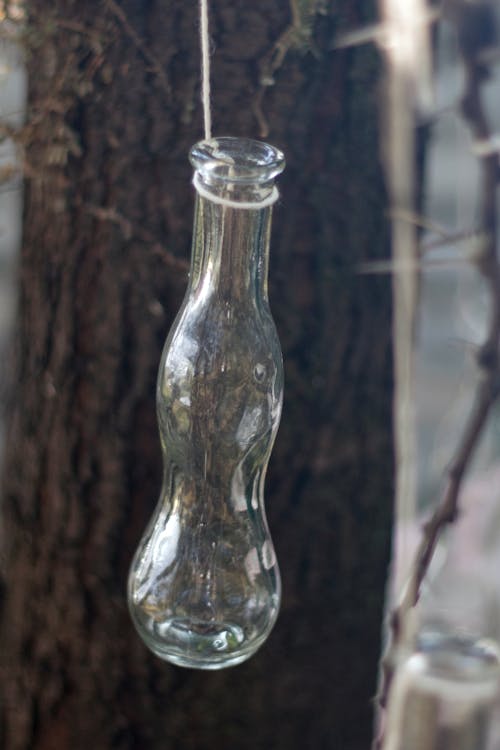 Foto d'estoc gratuïta de ampolla, ampolla de vidre, arbre