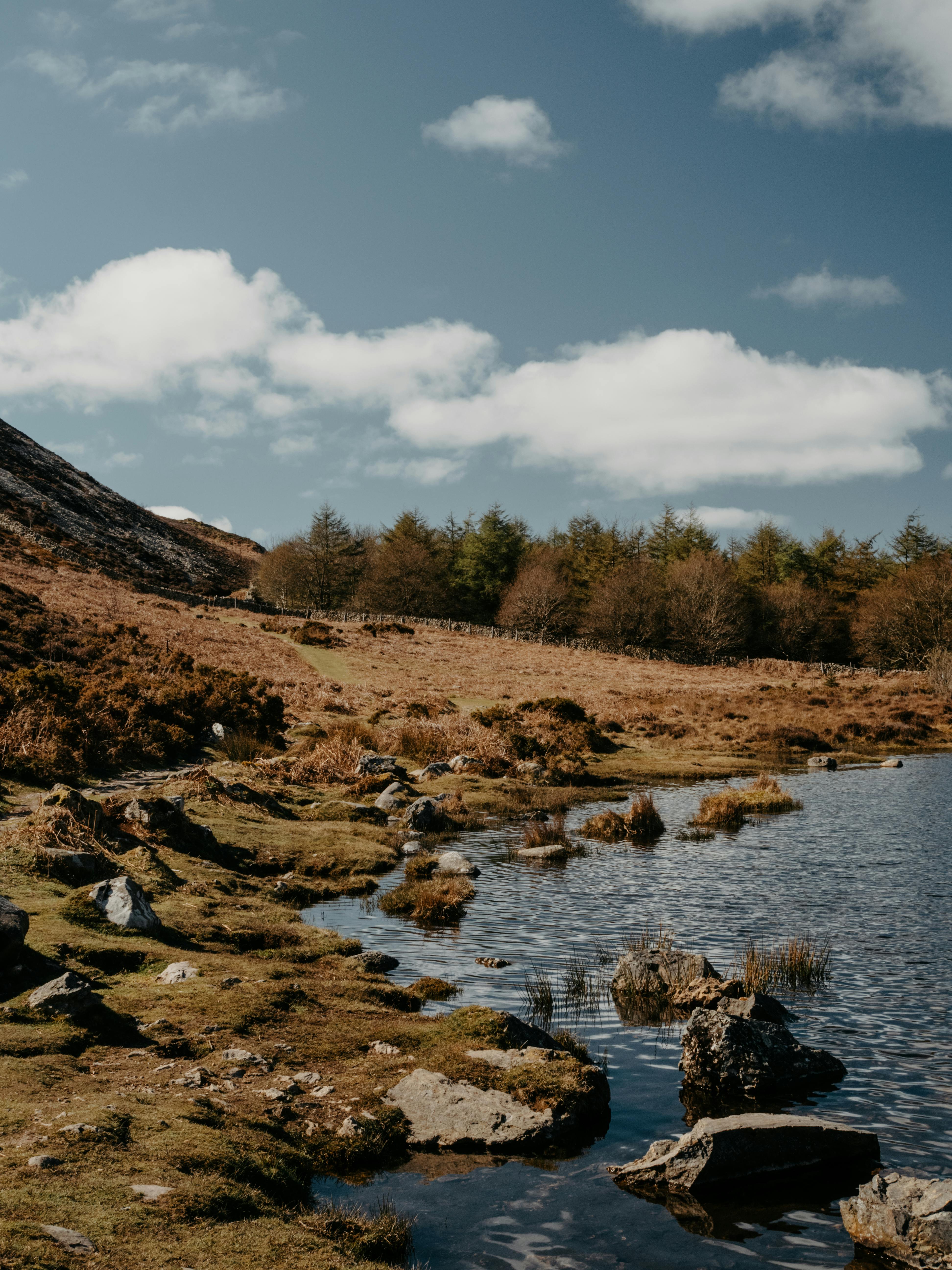 Tranquil lakeside scene with rocky shoreline and distant trees under a clear blue sky.