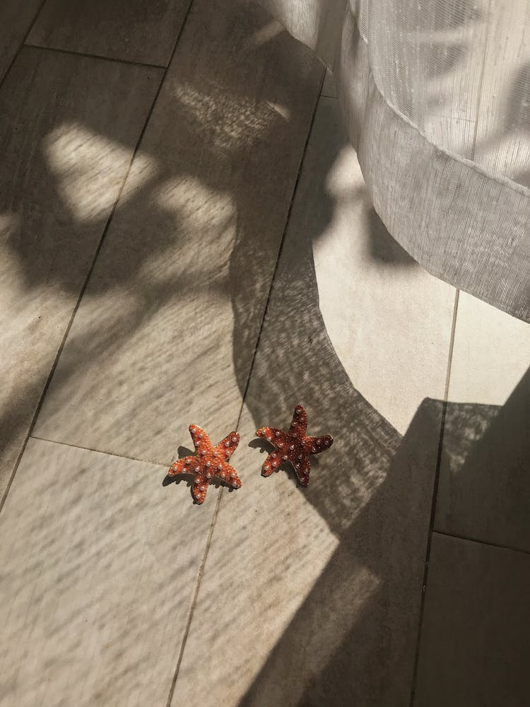Starfish On Tiled Floor