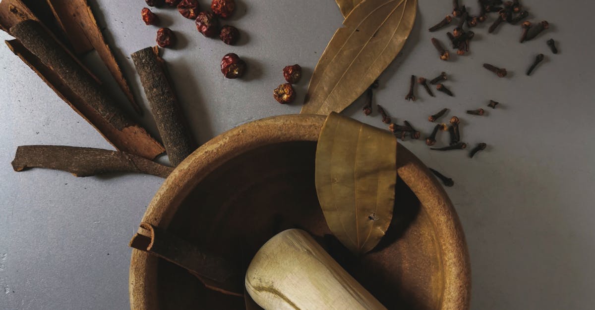 How to dry oregano leaves for spices
