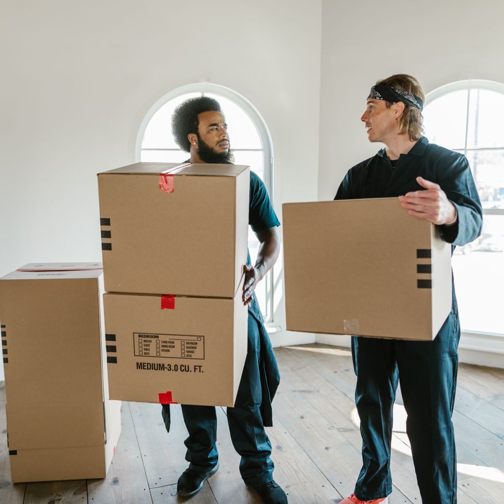 Trowbridge — professional packers wrapping and boxing belongings