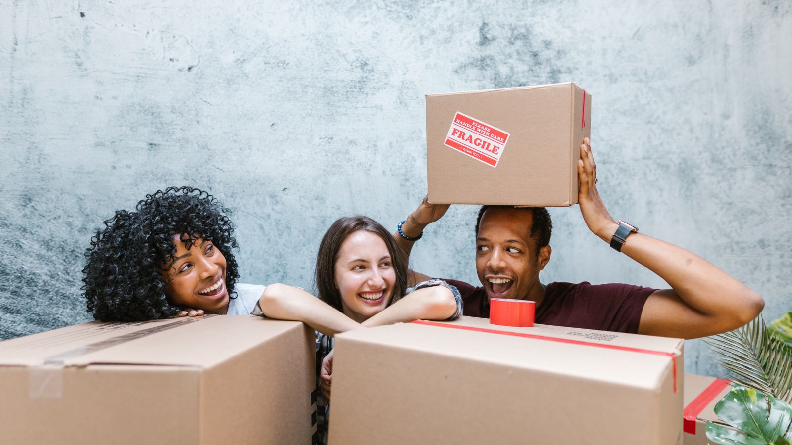 Movers & Packers Services