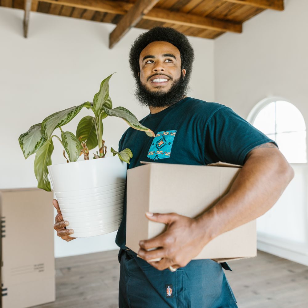Woolpit — professional packers wrapping and boxing belongings