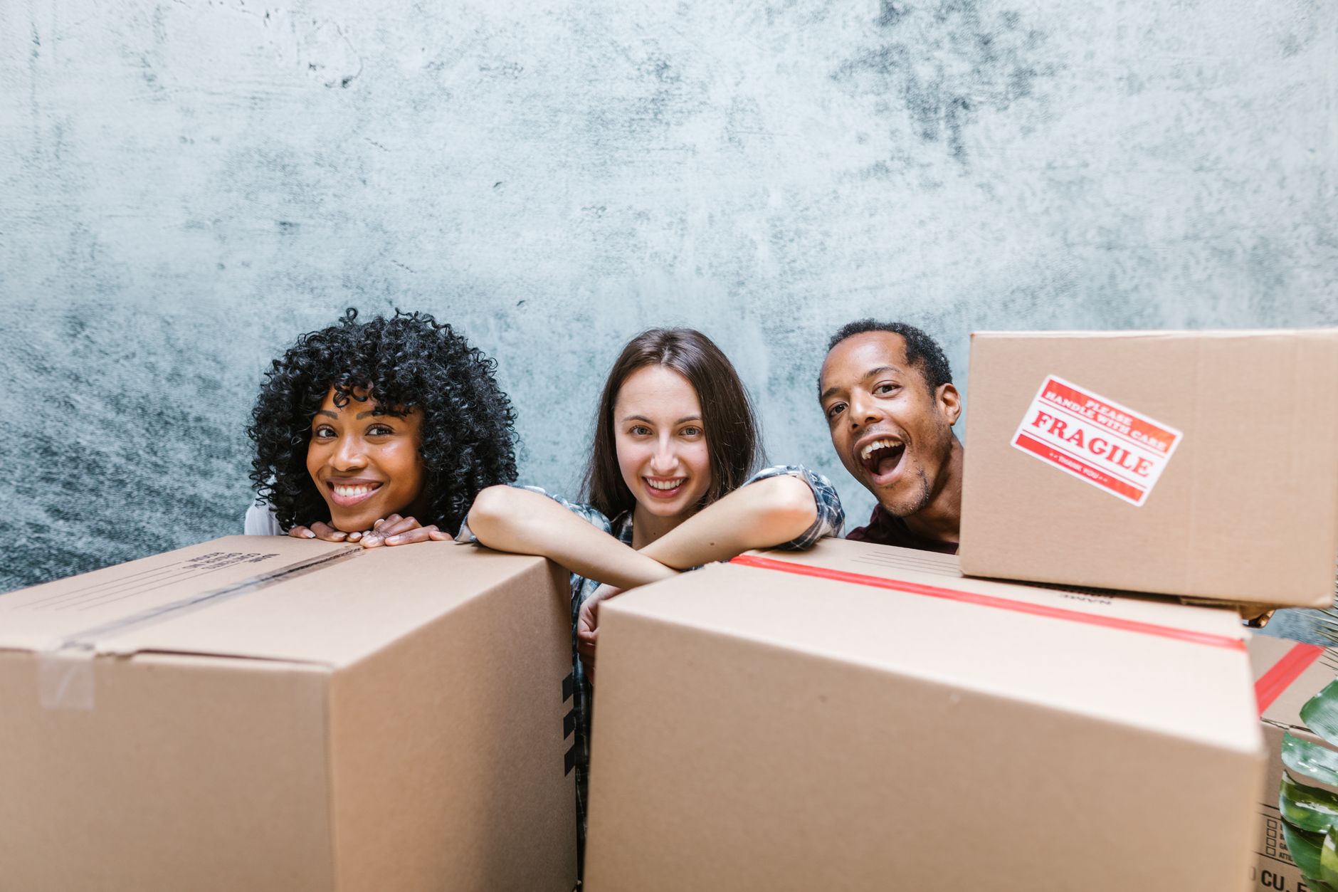 What To Expect From Professional Packing And Moving Services
