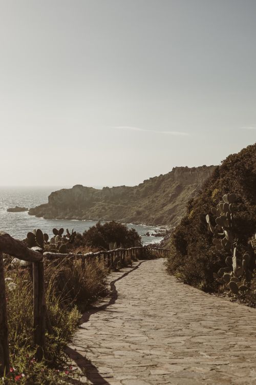 Free Picturesque view of empty cobblestone road with railings and bushes to rocky sea shore Stock Photo