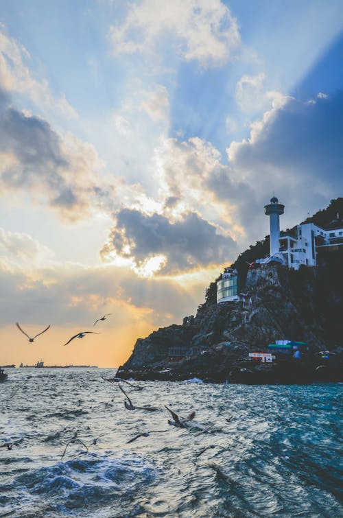 Free Discover the stunning seaside landscape of Busan featuring a lighthouse at sunset. Stock Photo
