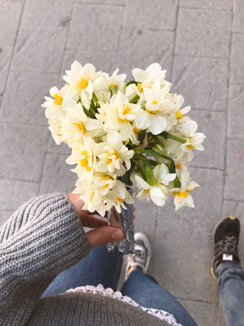 Foto stok gratis berkembang, buket, bunga daffodil