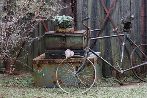 Foto d'estoc gratuïta de arbre espinós, bici, caixa d'eines