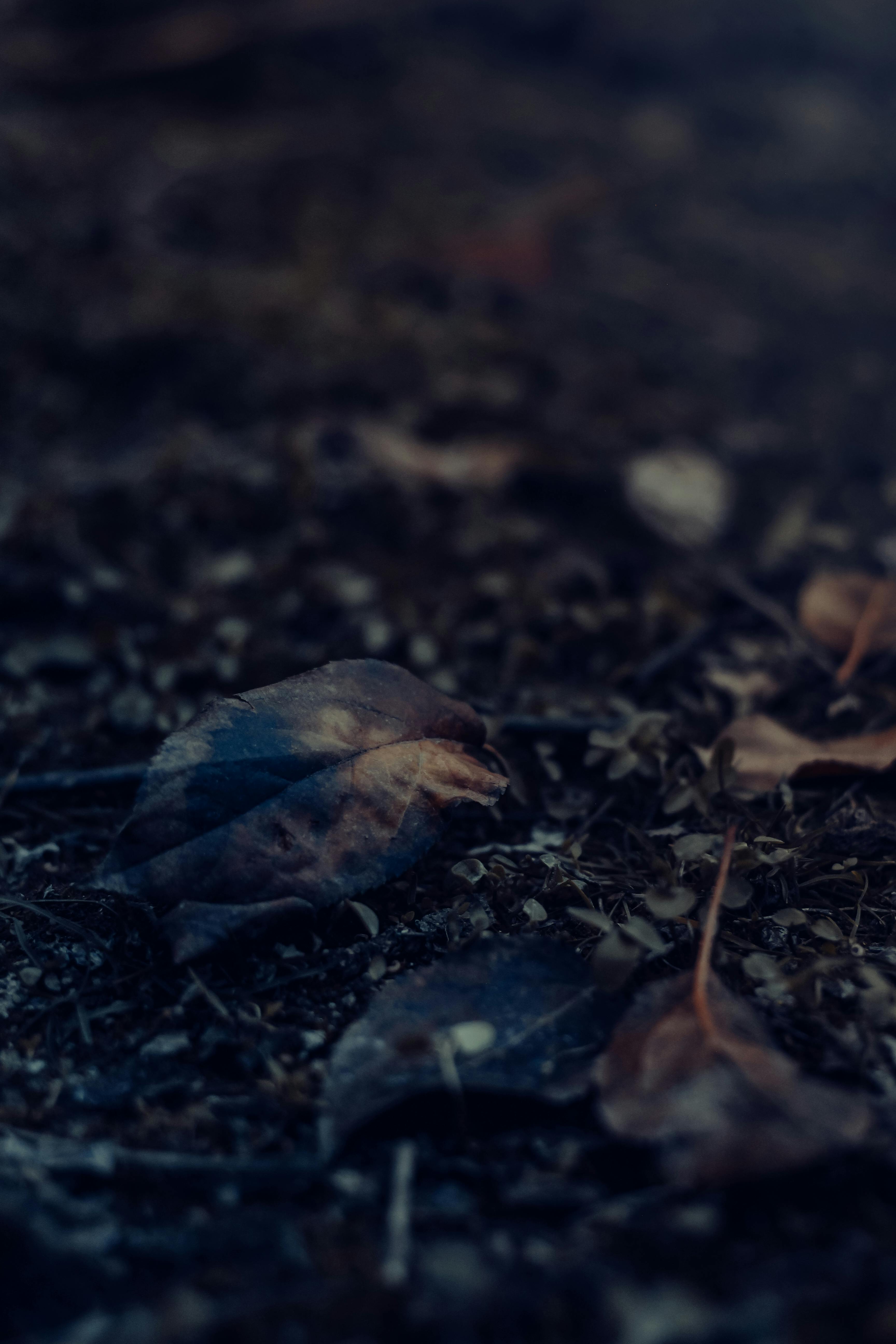 Fibre Clinix Hydrate Spray