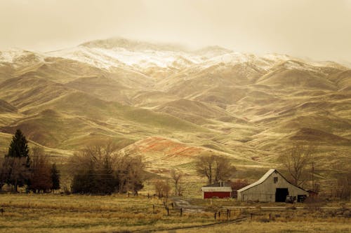 Základová fotografie zdarma na téma farma, hory, mlha