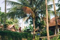 Woman in White Shirt Standing Near Palm Tree