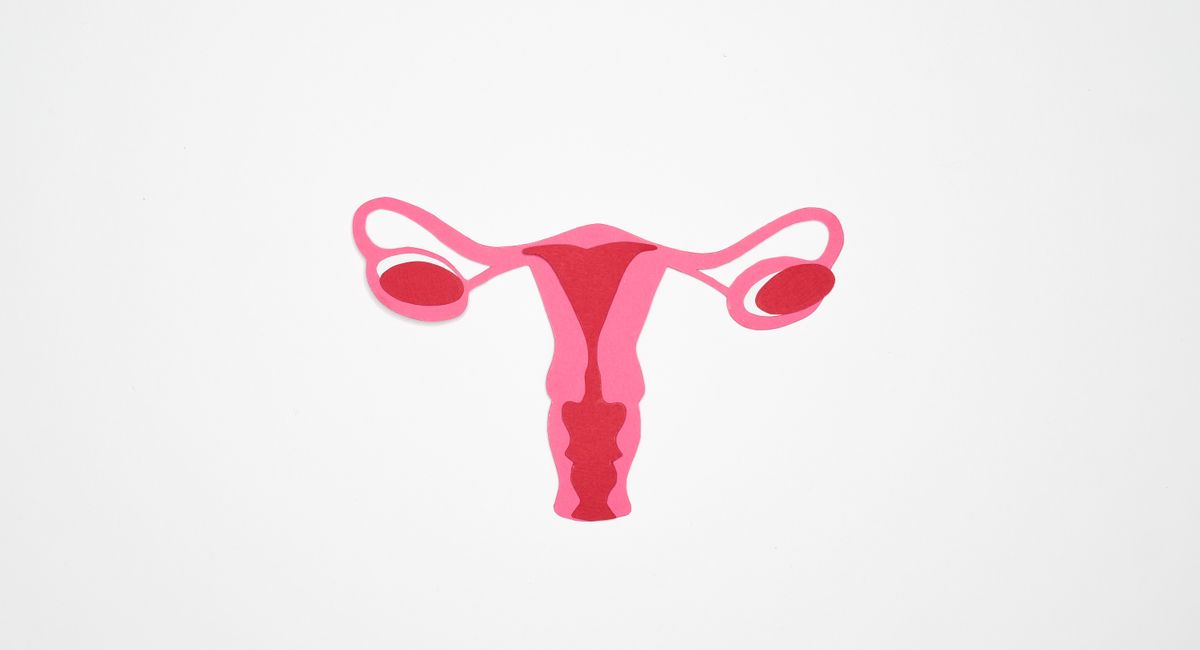 Illustration, durée de vie spermatozoïdes dans utérus