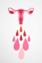 Graphic Photo of a Woman's Reproductive System
