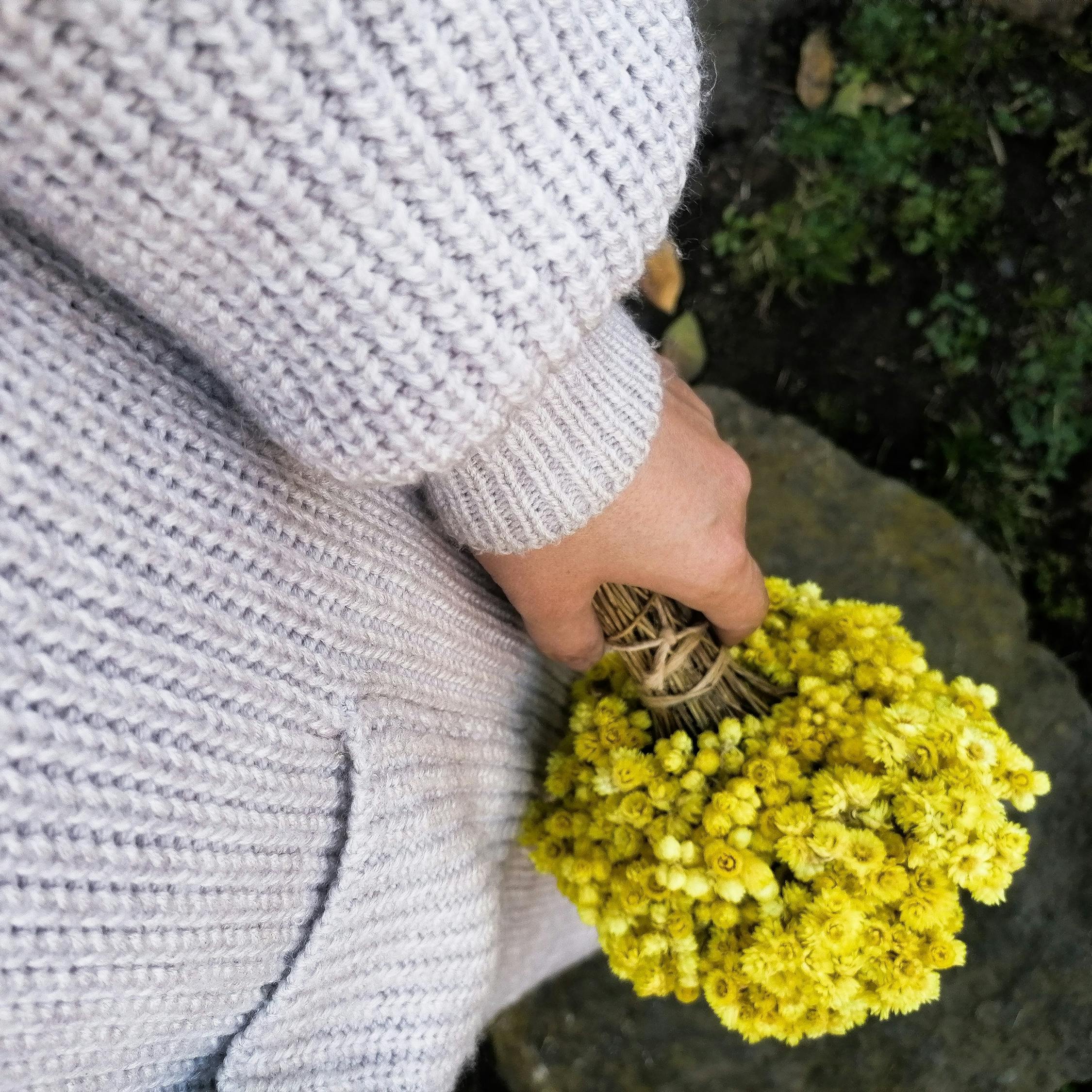 Person in White Sweater Holding Yellow Flower · Free Stock Photo