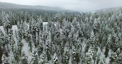 俯瞰冬季仙境，白雪覆盖的森林中树木挂满霜冻