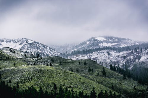 無料 雪に覆われた緑の山 写真素材