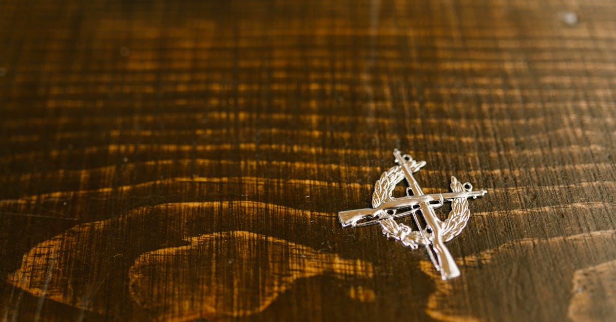 政治:特朗普在阿靈頓國家儀式上向退伍軍人深情致敬