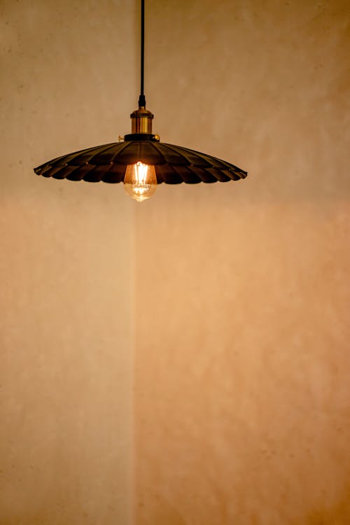 Dark brown metal hanging lamp shade in loft style with light bulb in room