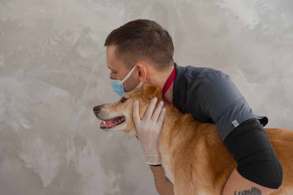 Why Generic Dog Food Advice Fails—What Vets Recommend A caring veterinarian embraces a happy dog during a routine checkup. Captures empathy and professionalism.