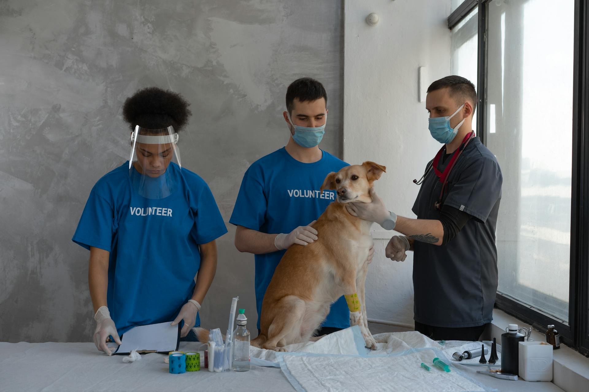 Men Holding a Dog