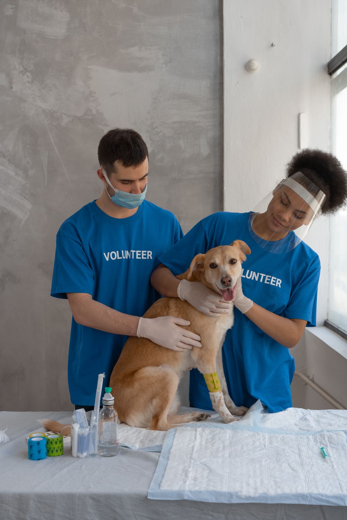 Veterinary team with a dog during a clinic visit