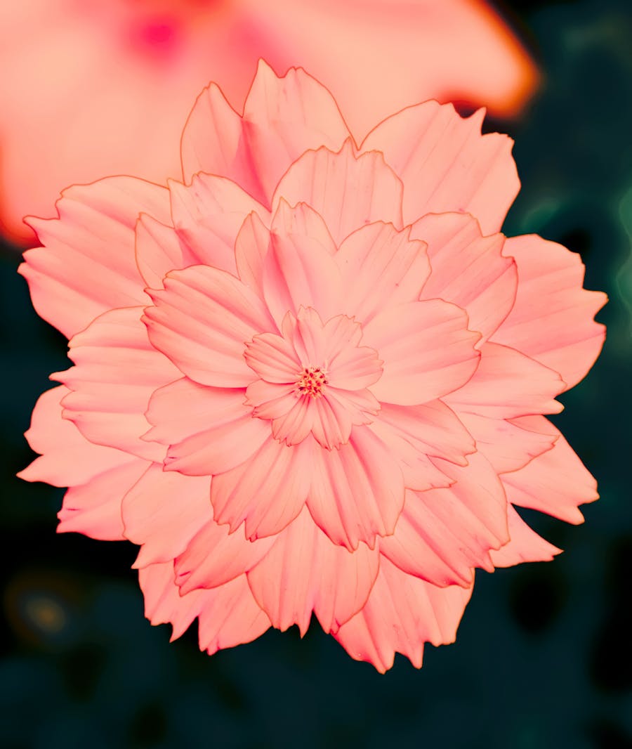 银川医疗设备厂如何用肇新智能文档比对管理产品说明书多语言版本差异