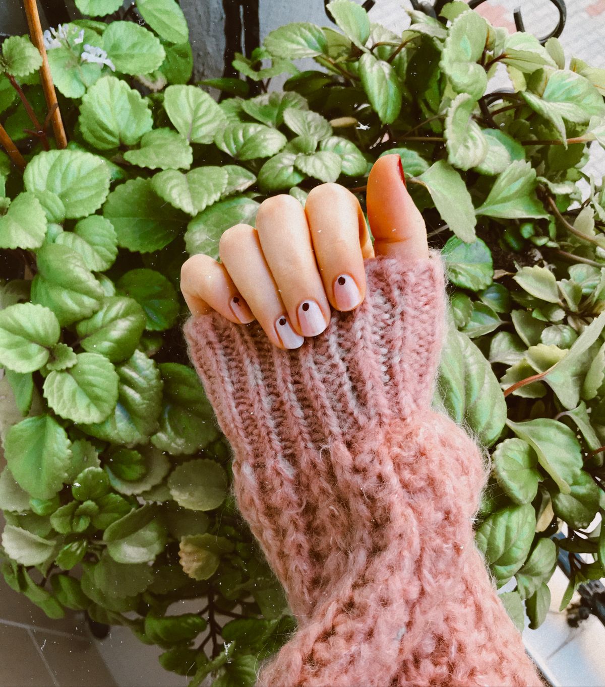 A close-up of a hand in a knitted sweater among green leaves, showcasing manicured nails.