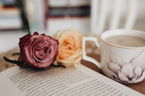 Buds of colorful roses placed on table near opened book and cup of hot beverage in light room on blurred background