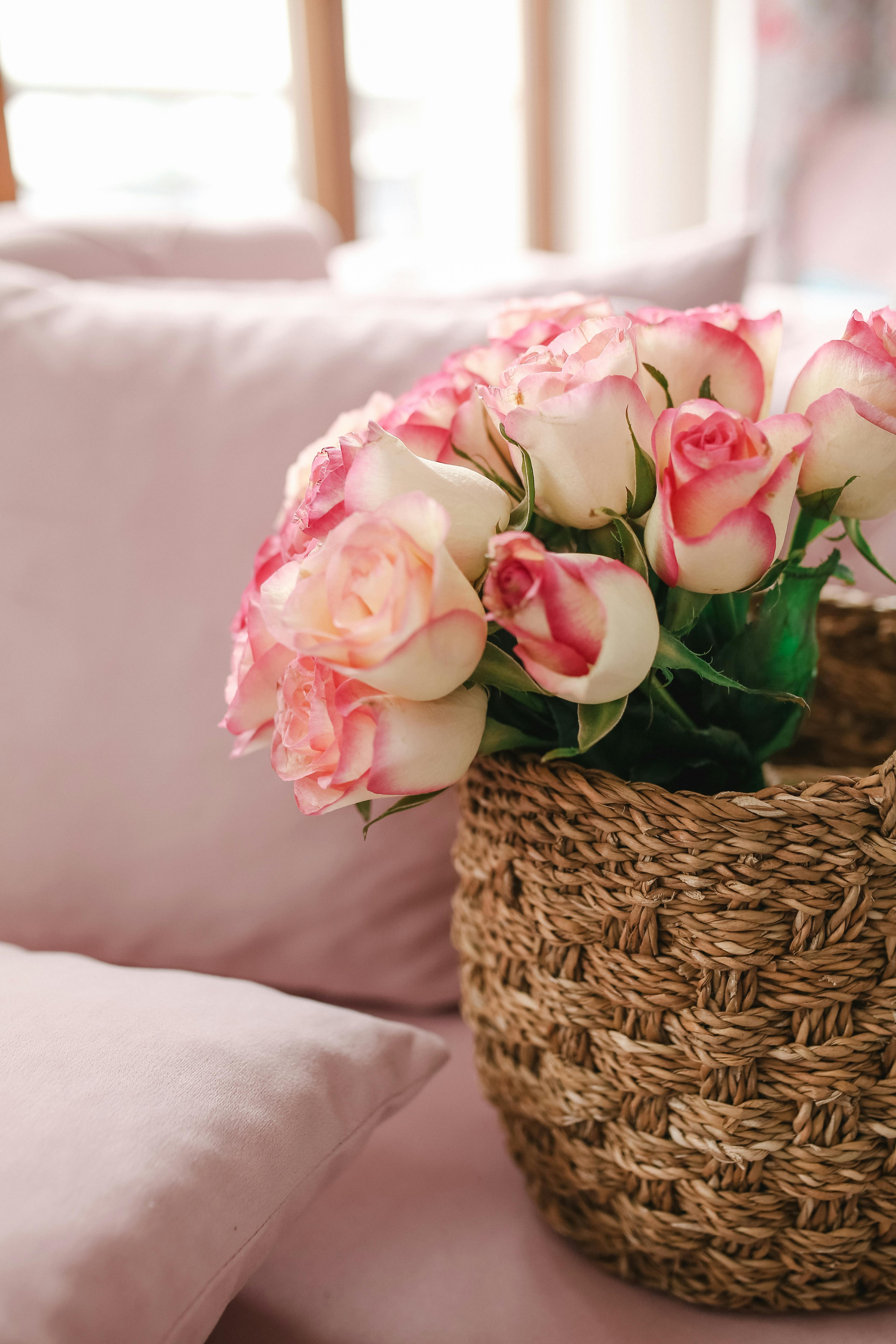 Bunch of fresh delicate roses in wicker basket placed on comfortable pink sofa with cushions in light room at home