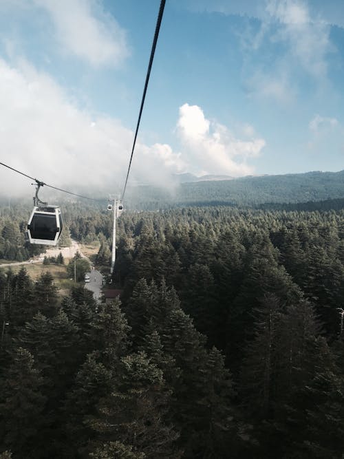 Cable Car over Treetops