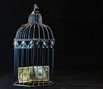 一张美元钞票被关在装饰性笼子里，象征着经济限制