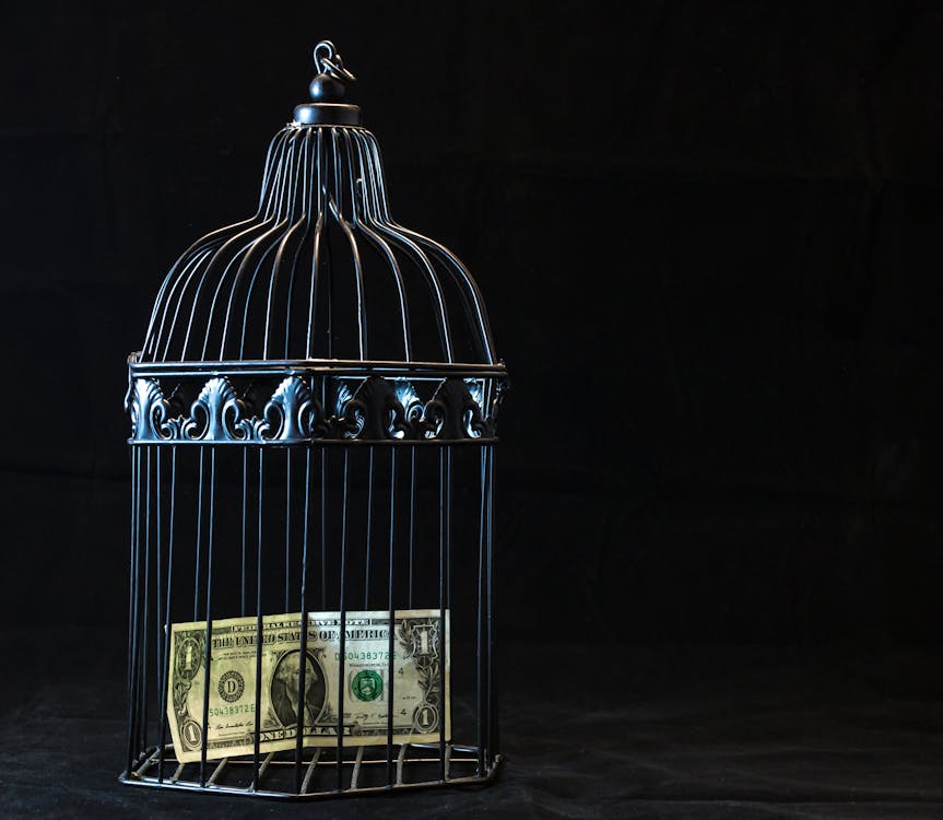 Black Steel Pet Cage With One Dollar 