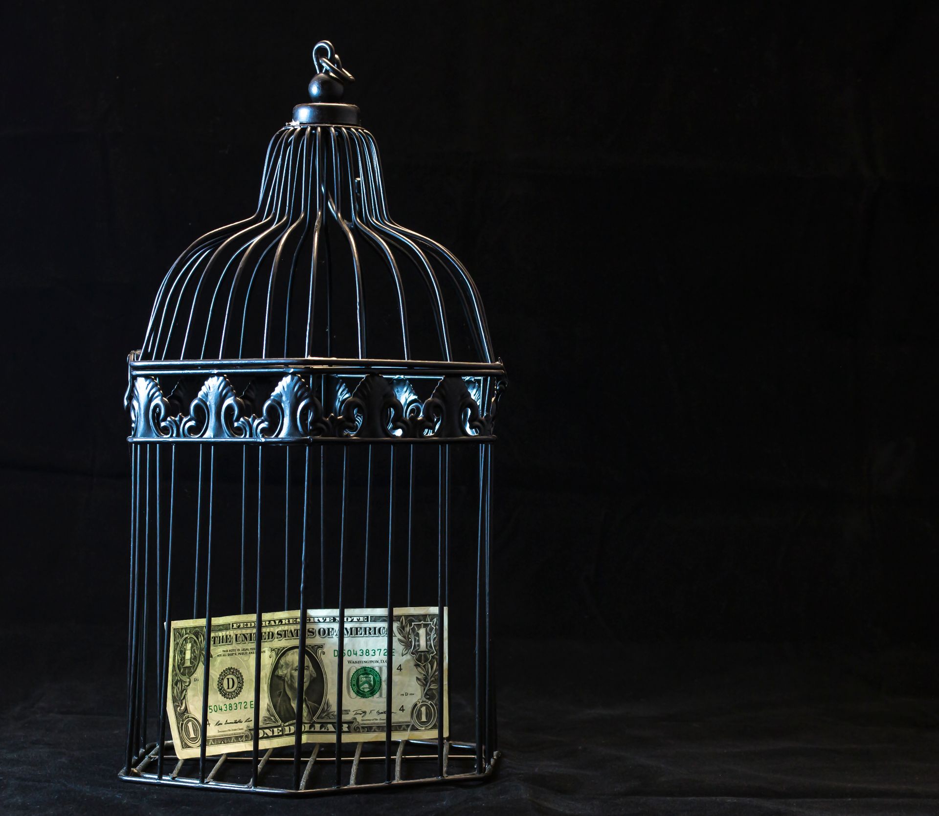 Black Steel Pet Cage With One Dollar