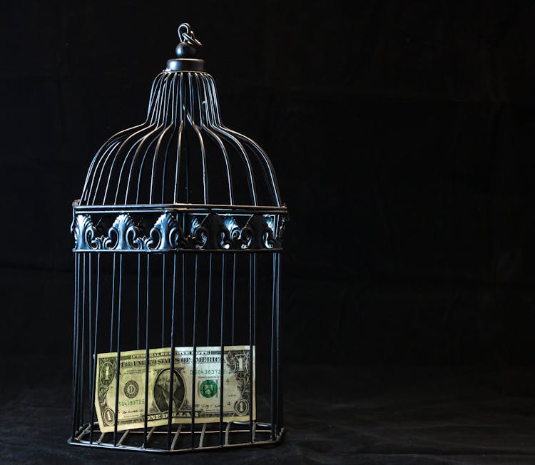 Black Steel Pet Cage With One Dollar 