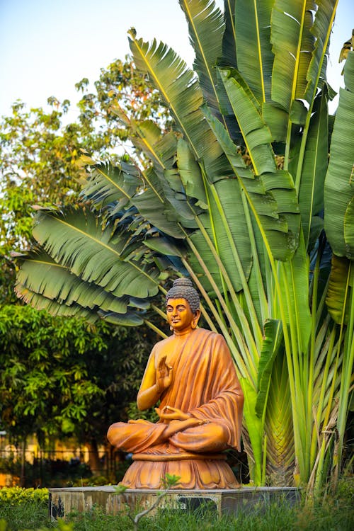 Imagine de stoc gratuită din Asia, Buddha, dumnezeu