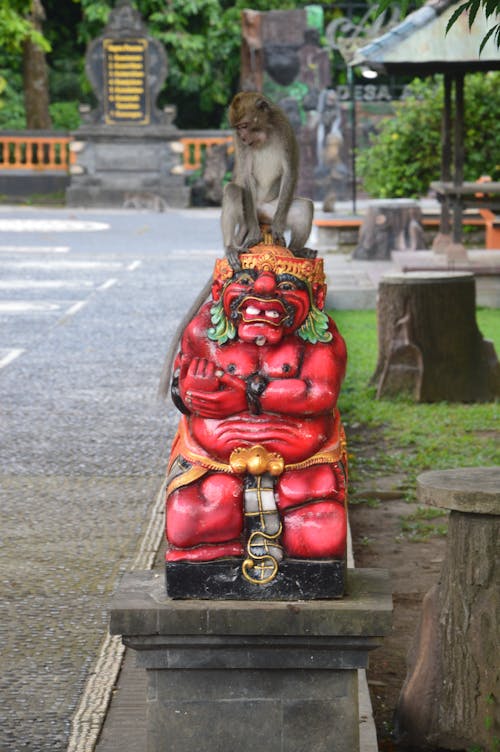 동상, 발리, 앉아 있는 원숭이의 무료 스톡 사진