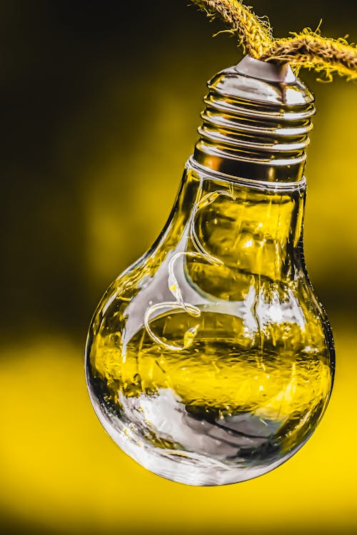 Free Clear Glass Light Bulb in Close Up Photography Stock Photo