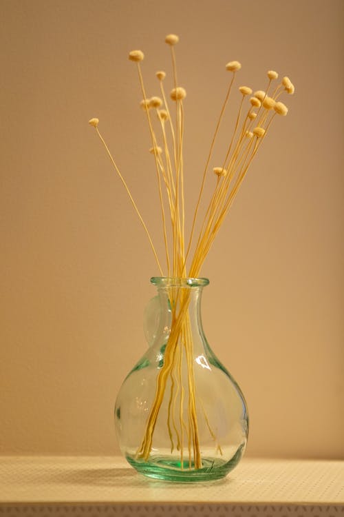 Dry Golden Grass in a Glass Vase 