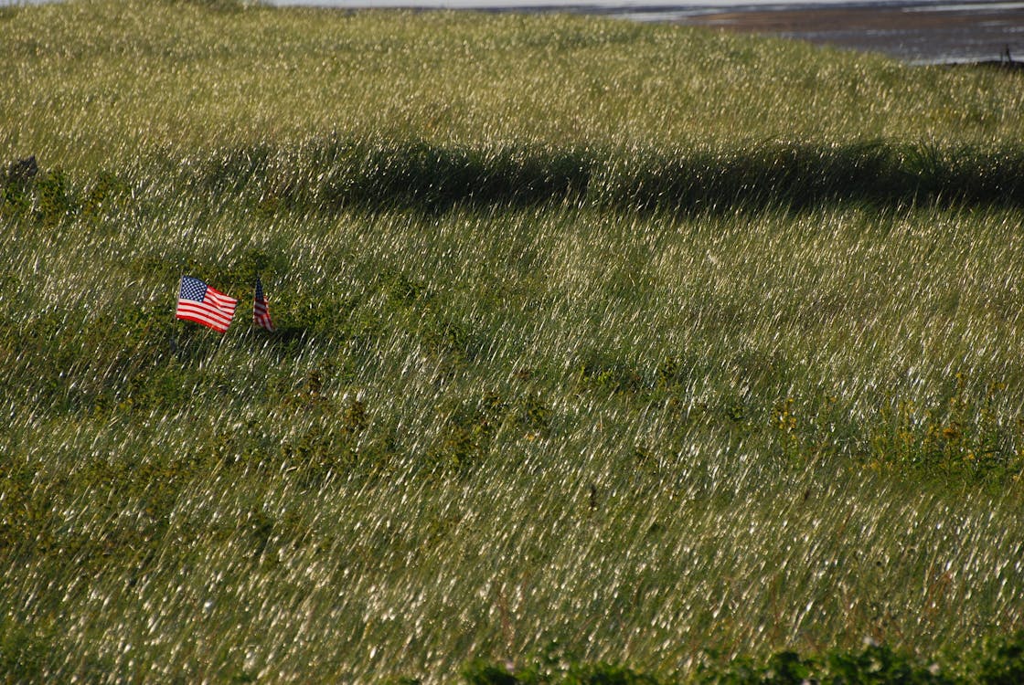 De franc Foto d'estoc gratuïta de bandera americana, banderes, camp Foto d'estoc