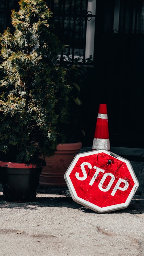 Free Stop Sign and Traffic Cone Near Green Plants Stock Photo