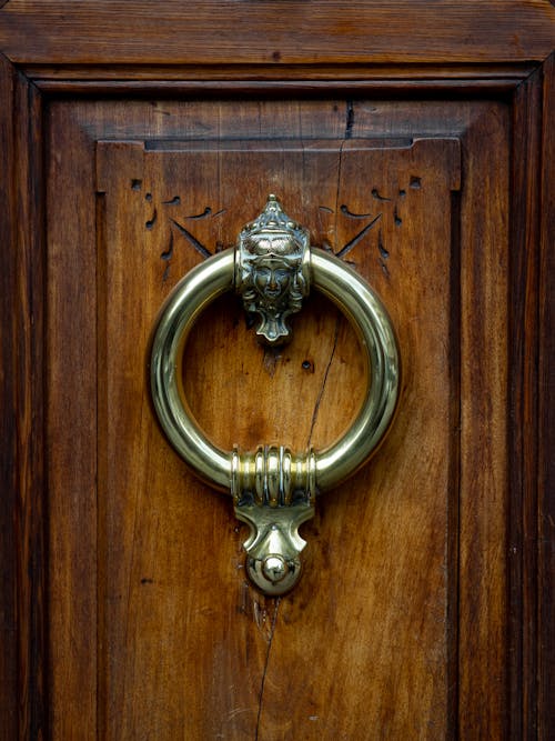 Close-Up Shot of Door Knocker on Wooden Door