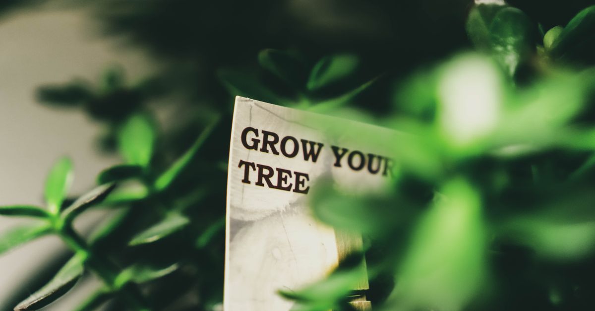 Mastering Your Energy, Not Just Your Time: A Guide to Sustainable Productivity