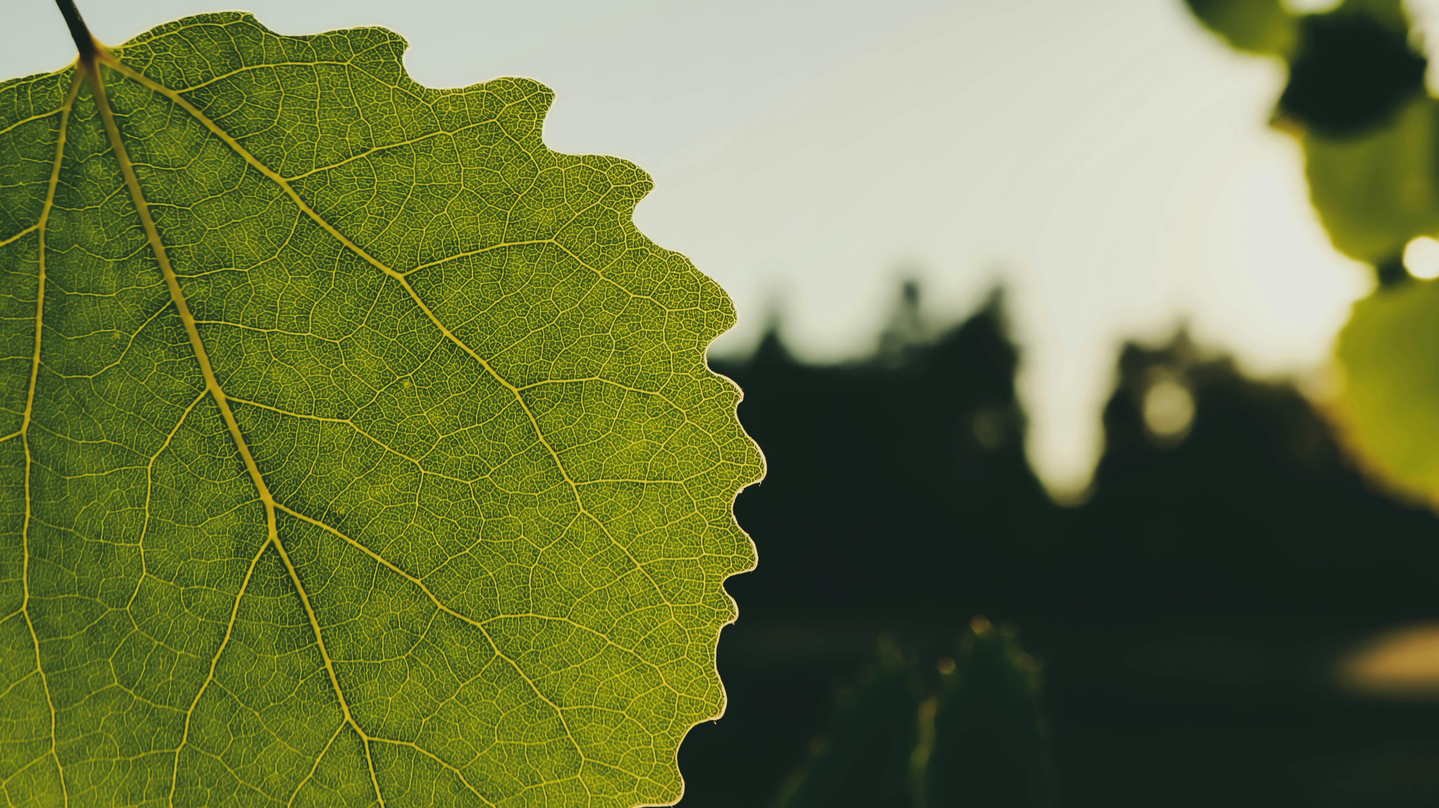 drama Korea Standby (2012)