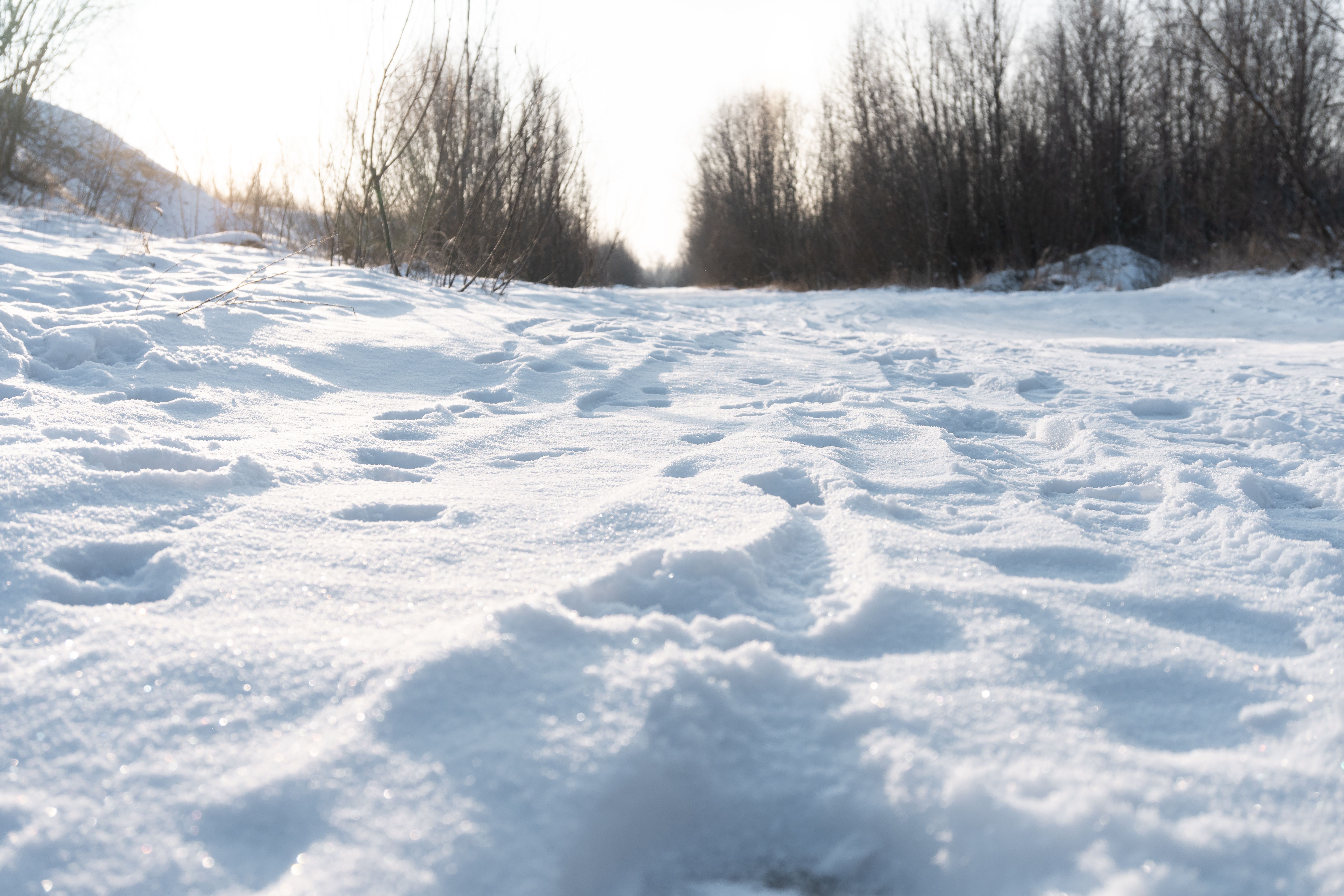 Microplastics in arctic snow — Curiosidades