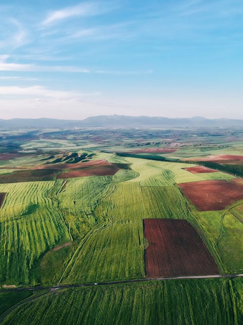 Fotos de stock gratuitas de campos, campos de cultivo, foto con dron