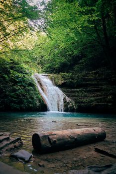Beautiful waterfall cascading amidst lush green forest and a wooden log.