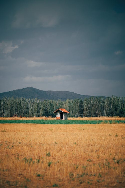 Photo of a Barn in a Field