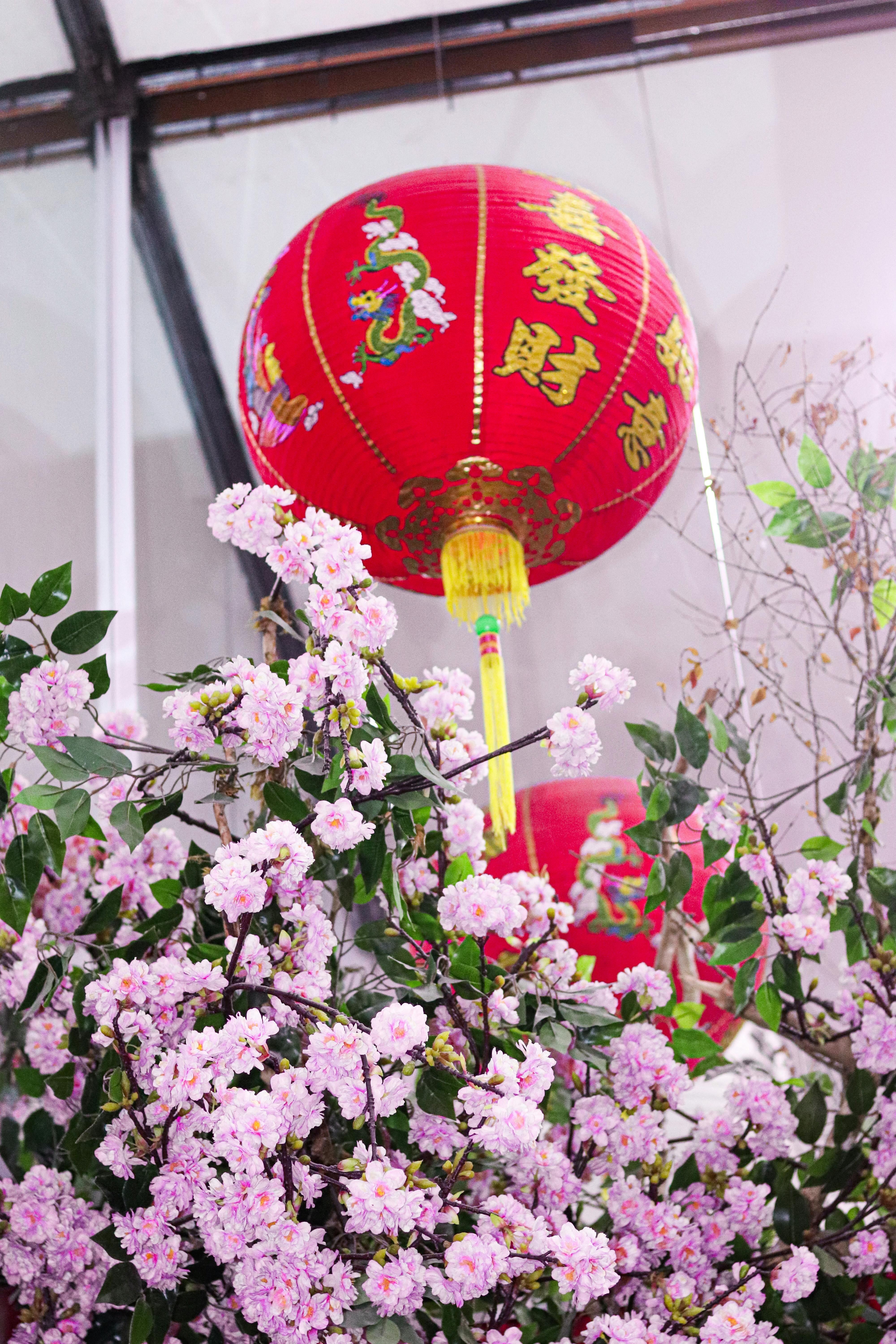 Pink and sale white paper lanterns