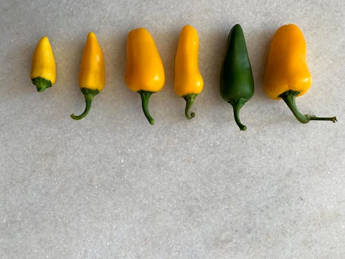 Free stock photo of bell pepper, vegetables, yellow